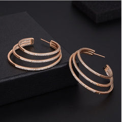 High-end earrings Elegant wild net red new design fashion big circle ear ring female personality cold