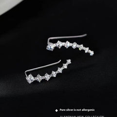 Special Interest Earrings Autumn And Winter High-grade Earrings