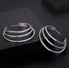 High-end earrings Elegant wild net red new design fashion big circle ear ring female personality cold