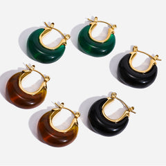 Maillard Resin Earrings Special Interest Light Luxury Stainless Steel