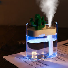 Transparent Cactus Acrylic Humidifier