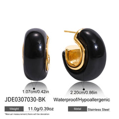 Maillard Resin Earrings Special Interest Light Luxury Stainless Steel