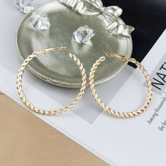 Twist Metal Twisted Earrings Minority Fashion Creative Ear