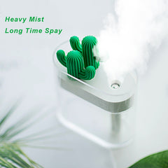 Transparent Cactus Acrylic Humidifier