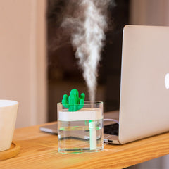 Transparent Cactus Acrylic Humidifier